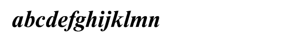Newton Multilingual Bold Italic Font LOWERCASE