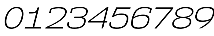 NK57MonospaceSeLt-Italic Font OTHER CHARS
