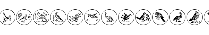OldBirdsTwo Sample