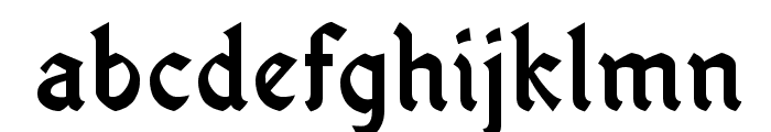 OldaniaADFStd-Bold Font LOWERCASE