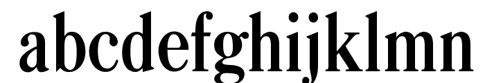 OPTICaslonBold-Cond Font LOWERCASE