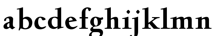 OPTIDeligne-Bold Font LOWERCASE