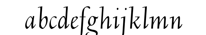 OPTIDeligne-Italic Font LOWERCASE