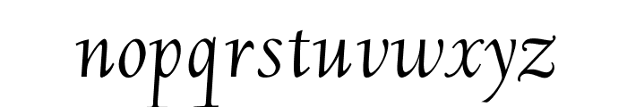 OPTIDeligne-Italic Font LOWERCASE