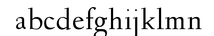 OPTIDeligne-Normal Font LOWERCASE