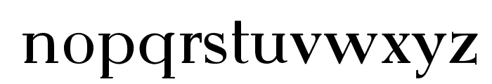 OPTIEisen-Medium Font LOWERCASE