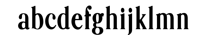 OPTIOrphan-Slim Font LOWERCASE