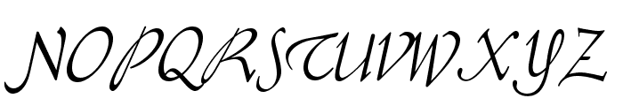 OPTISchneidler-Swash Font UPPERCASE