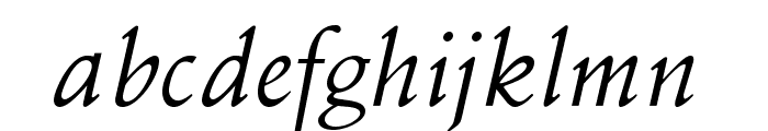 OPTISchneidler-Swash Font LOWERCASE