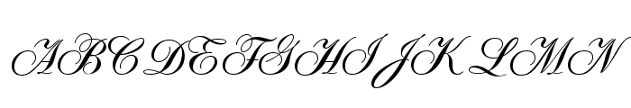 OPTISybaris-Bold Font UPPERCASE