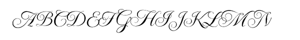 Your Image