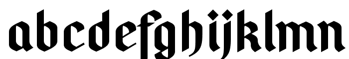 PfefferSimpelgotisch-Bold Font LOWERCASE