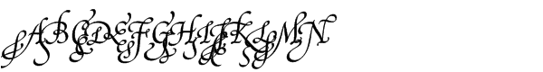 Your Image