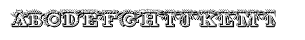 Your Image