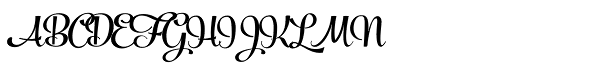 Powder Script Black Font UPPERCASE