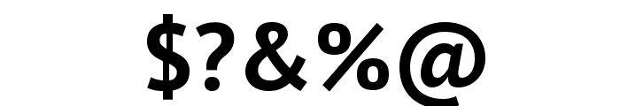 PT Sans Bold Font OTHER CHARS