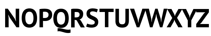 PT Sans Bold Font UPPERCASE
