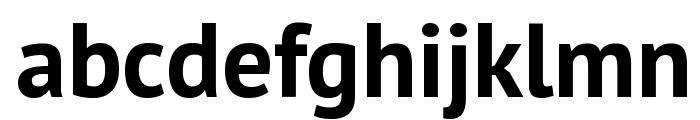 PT Sans Bold Font LOWERCASE