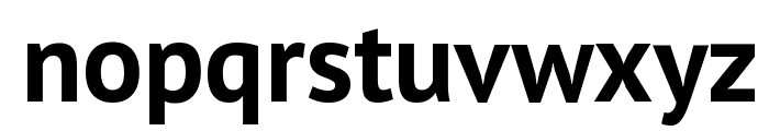 PT Sans Bold Font LOWERCASE