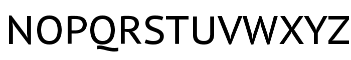 PT Sans Caption Font UPPERCASE