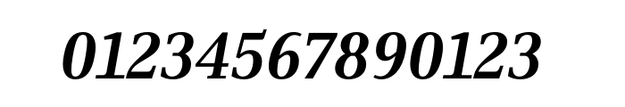 PTL Skopex Serif Bold Italic OT Font OTHER CHARS