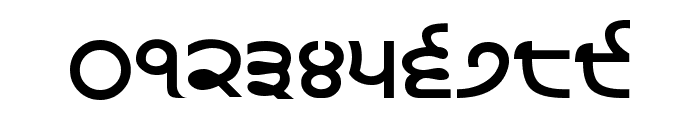 Punjabi  Bold Font OTHER CHARS