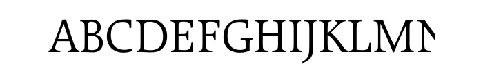 Raleigh Light Multilingual OT Font UPPERCASE