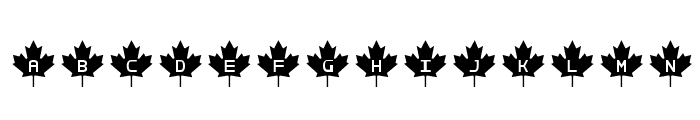RCMP Font LOWERCASE