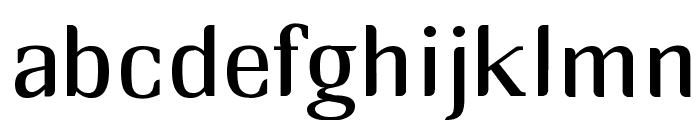 RM_midserif Font LOWERCASE