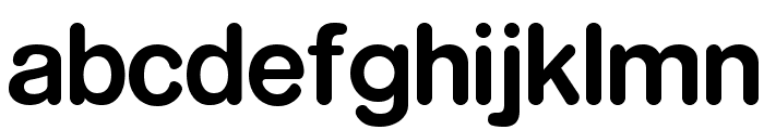 RockoFLF-Bold Font LOWERCASE
