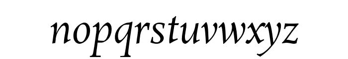 Rosarivo-Italic Font LOWERCASE