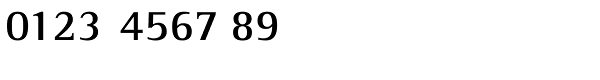Rotis Semi Serif Paneuropean W1G 65 Bold Font OTHER CHARS