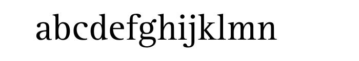 Rotis Serif Pro Cyrillic Font LOWERCASE