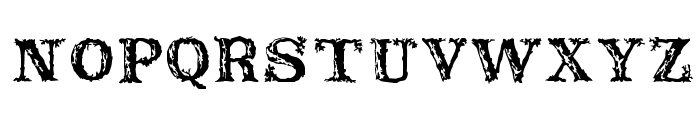Rustic Font LOWERCASE