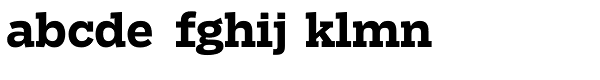 Salvo Serif Bold Font LOWERCASE