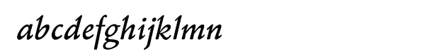 Schneidler® Bold Italic Font LOWERCASE