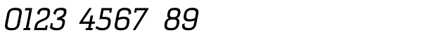 Selektor Slab Regular Italic Font OTHER CHARS
