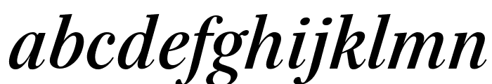 Serif-BoldItalic Font LOWERCASE