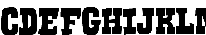 Serif of Nottingham Font LOWERCASE