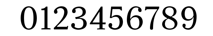 Serif12Beta-Regular Font OTHER CHARS
