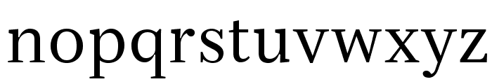 Serif12Beta-Regular Font LOWERCASE