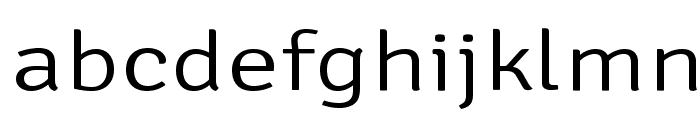 SignikaNegative-Light Font LOWERCASE