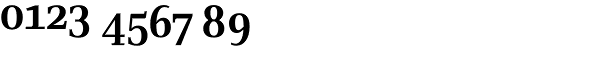 Skopex Serif-Bold Caps Font OTHER CHARS