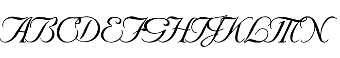 SNC Script Italic Font UPPERCASE