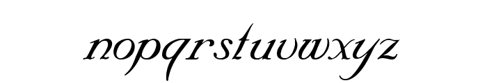 SNC Script Italic Font LOWERCASE