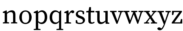 Source Serif Pro Regular Font LOWERCASE