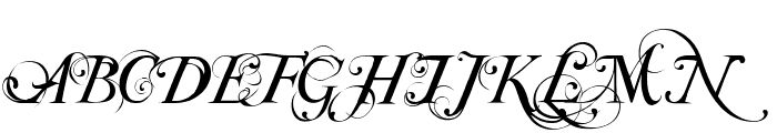 Special TypeRegular free Font - What Font Is