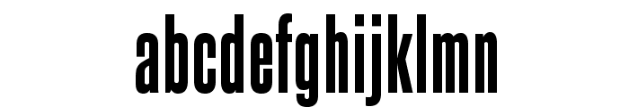 SteelfishEb-Regular Font LOWERCASE
