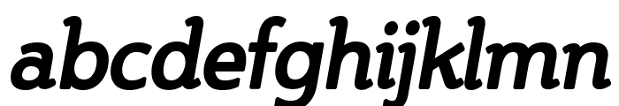 Steinem-Bold Italic Font LOWERCASE