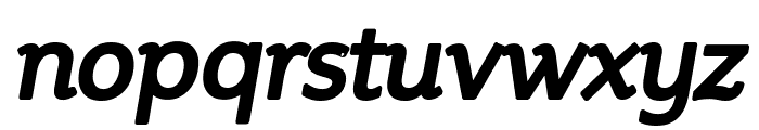 Steinem-Bold Italic Font LOWERCASE